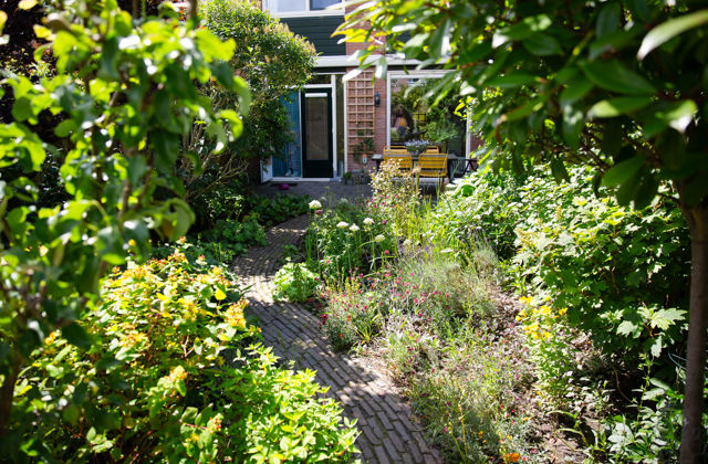 Foto van een pad door een groene, bloeiende tuin richting een huis.