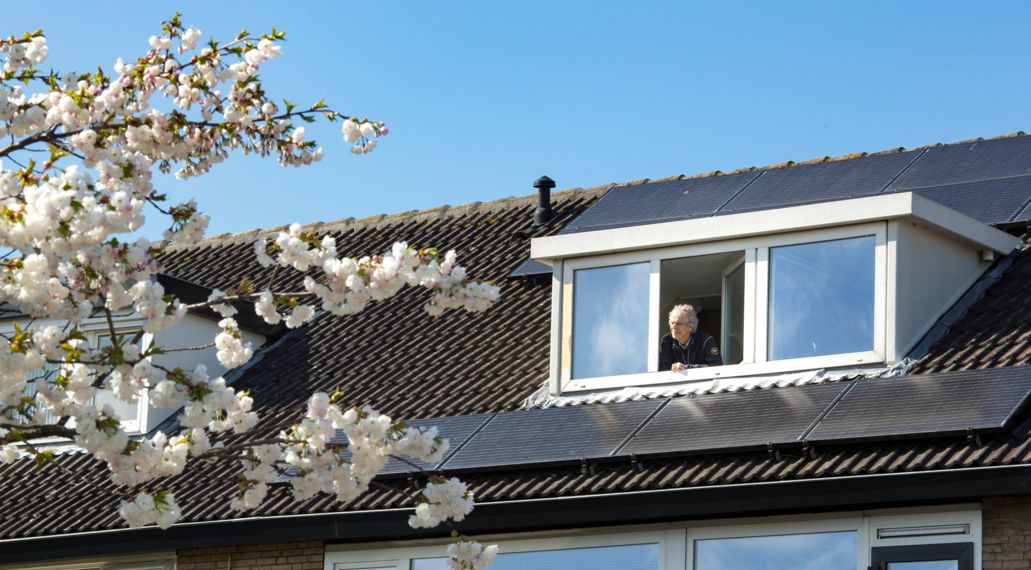 Een man met grijs haar en een bril kijkt uit zijn dakraam naar de zonnepanelen op zijn dak. De zon schijnt, de lucht is blauw en op de voorgrond bloeit witte bloesem.